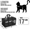 ScratchMe Pet Travel Carrier Soft Sided Portable Bag for Cats, Small Dogs,