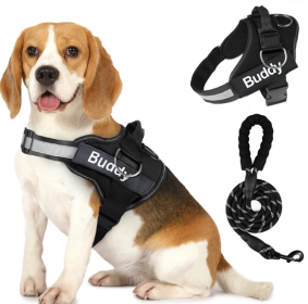 Pet Clothing Dog Couple Chest Strap Rope (Option: Black-XL)