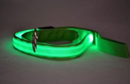 LED Luminous Traction Belt Dog Leash (Option: Green-Rechargeable Sling)