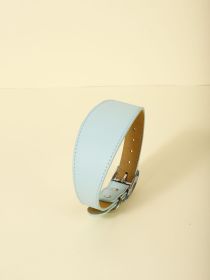 New Pet Casual Adjustable Collar (Option: Light Blue-M)